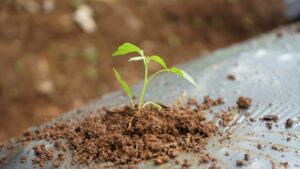 Unlock UK B2B SaaS Investment Opportunities with Commission-Free SEIS & EIS